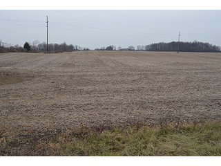 Property photo 21 - LAND AUCTION, 77 Acres offered in 3 Tracts